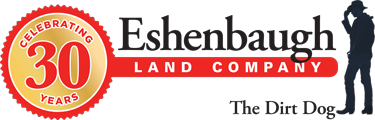 Eshenbaugh 30 years of success logo
