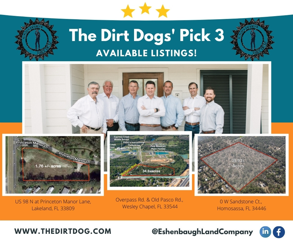 the dirt dog's pick three listings