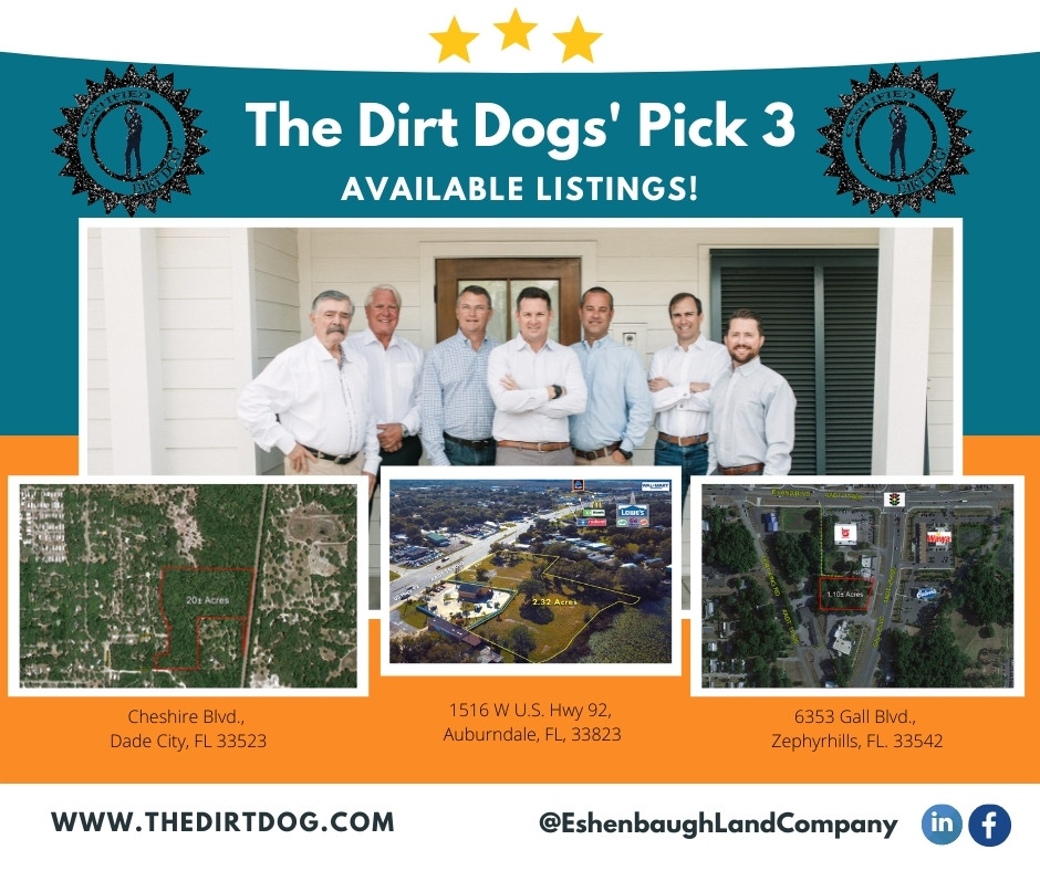 the dirt dog's pick 3 available listings