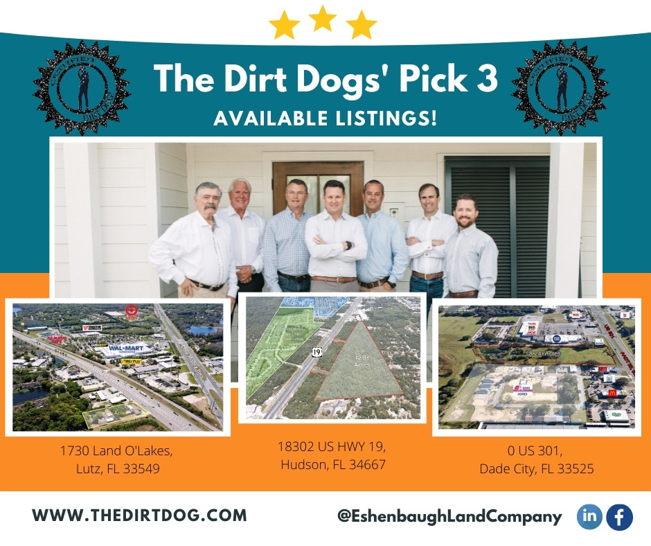 the dirt dog's pick 3 available listings