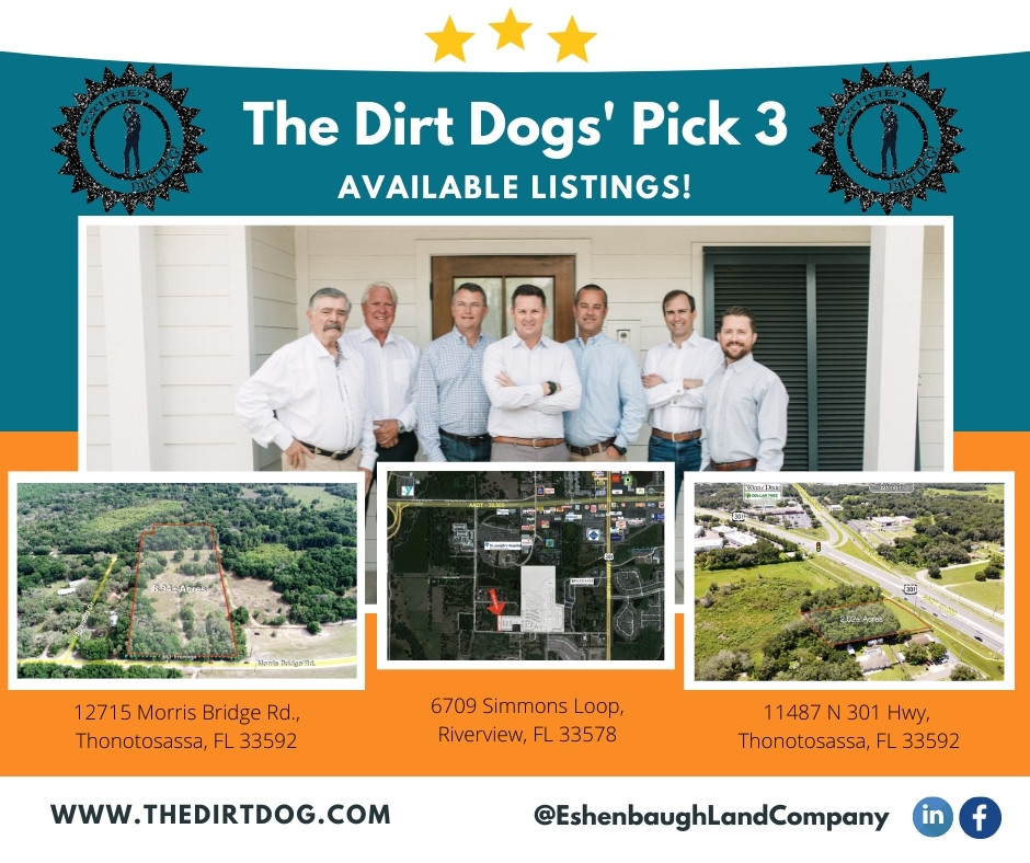 the dirt dog's top three available listings