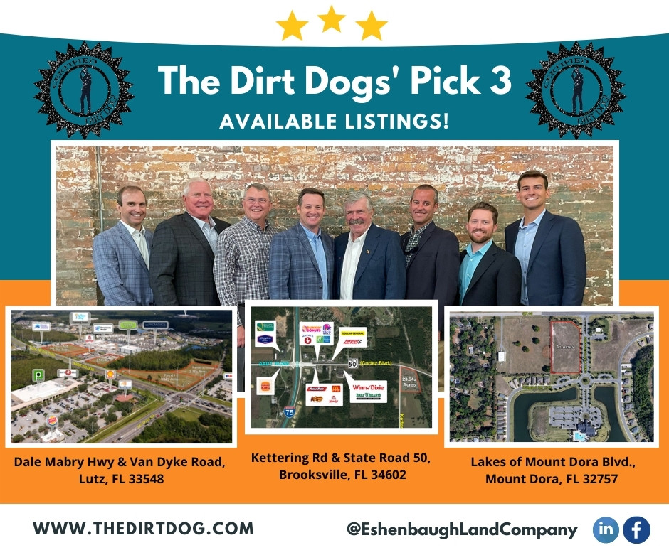 dirt dog's 3 picks of October