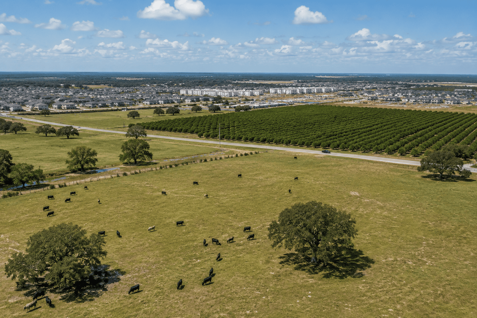 Florida agricultural land under greenbelt classification with development encroaching nearby.